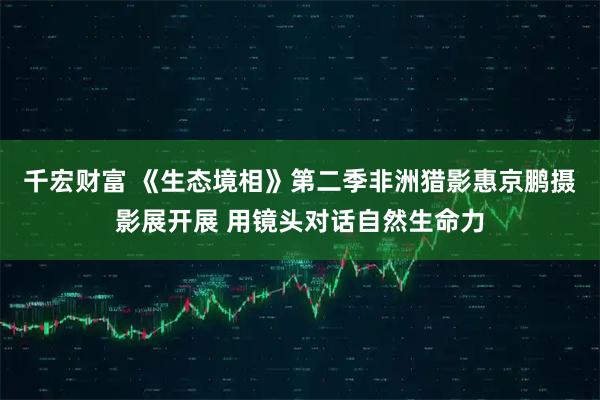 千宏财富 《生态境相》第二季非洲猎影惠京鹏摄影展开展 用镜头对话自然生命力