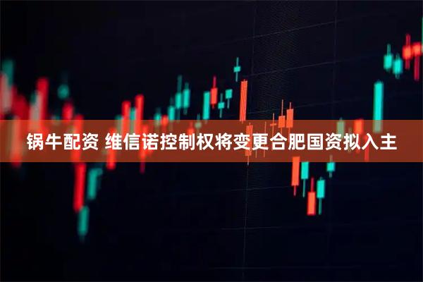 锅牛配资 维信诺控制权将变更合肥国资拟入主