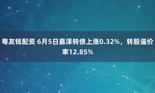 粤友钱配资 6月5日嘉泽转债上涨0.32%,转股溢价率12.85%