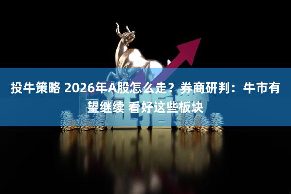 投牛策略 2026年A股怎么走？券商研判：牛市有望继续 看好这些板块